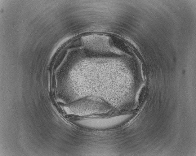 X0000060791123200512082117