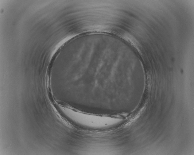 X0000060791125200512082117