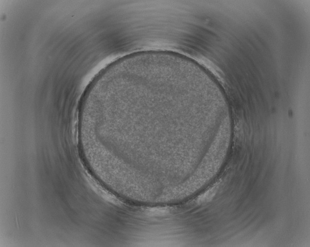 X0000060791126200512082117