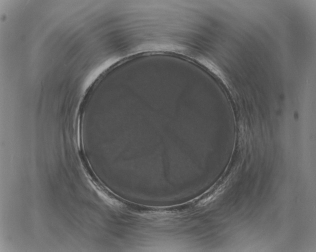 X0000060791127200512082117