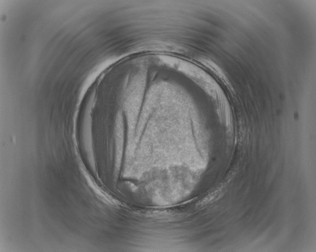 X0000060791128200512082117