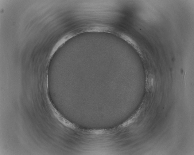 X0000060791130200512082117