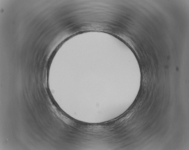 X0000060791131200512082117