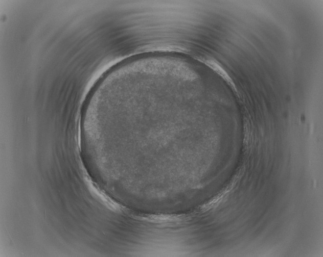 X0000060791132200512082117