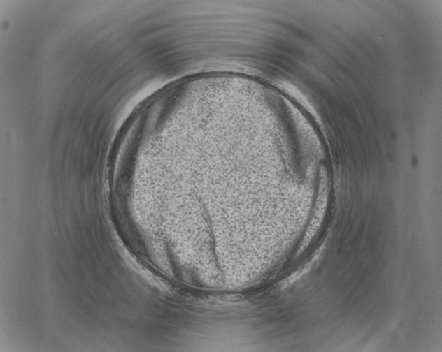 X0000060791133200512082117