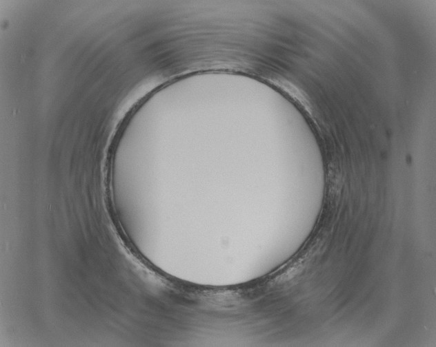 X0000060791135200512082117