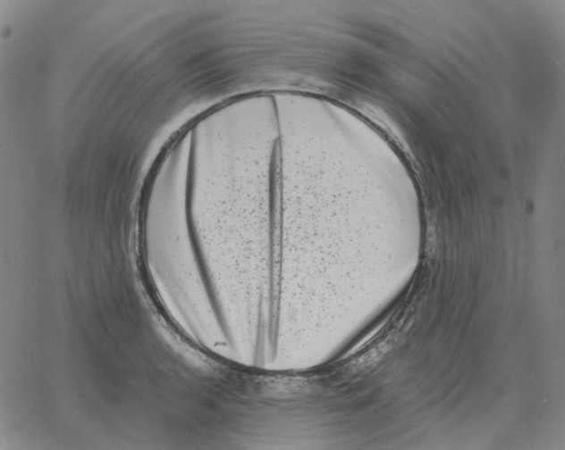 X0000060791136200512082117