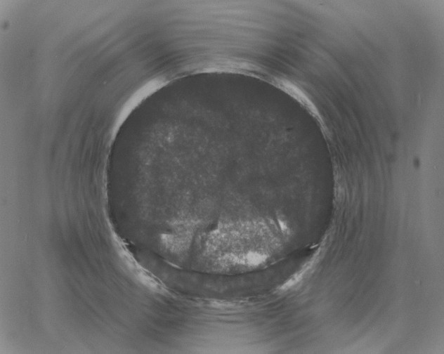 X0000060791138200512082117