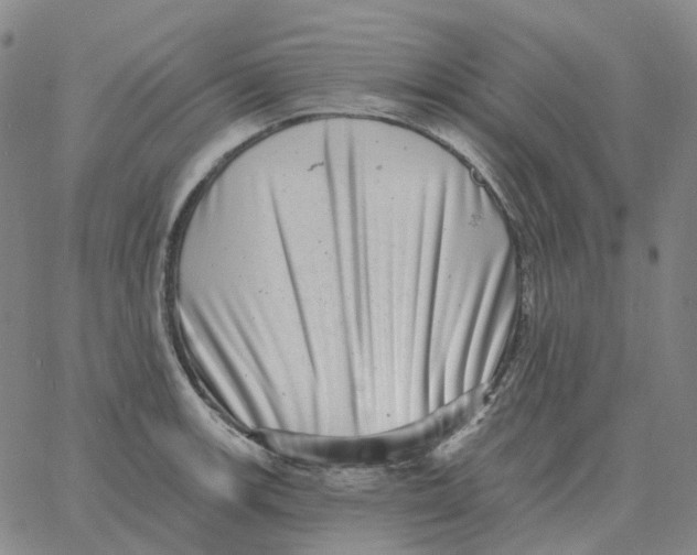 X0000060791139200512082117