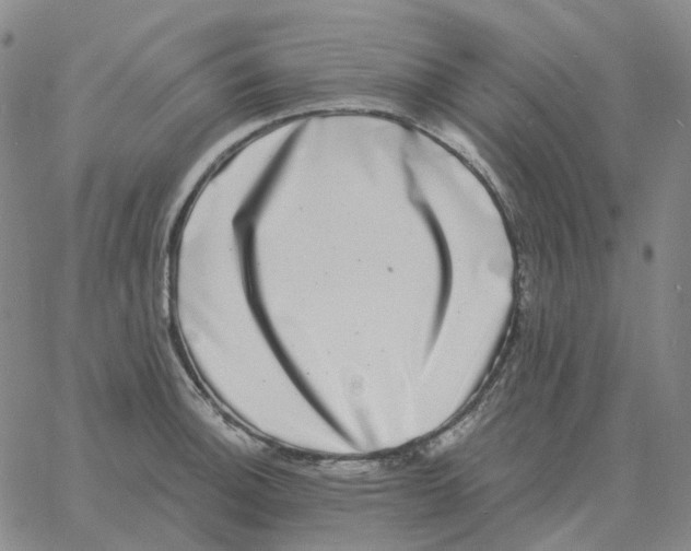 X0000060791140200512082117