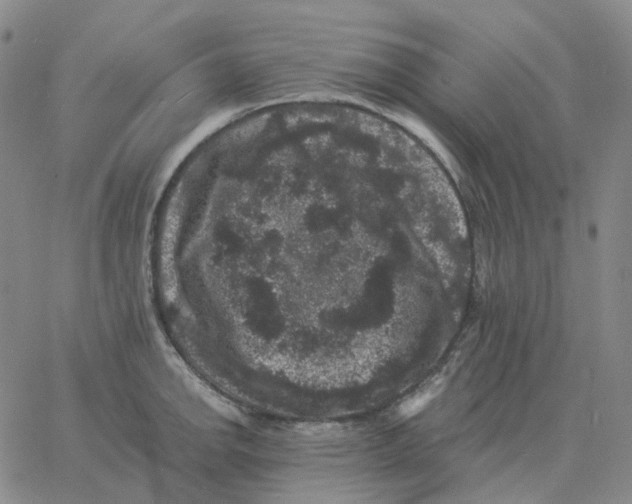 X0000060791142200512082117