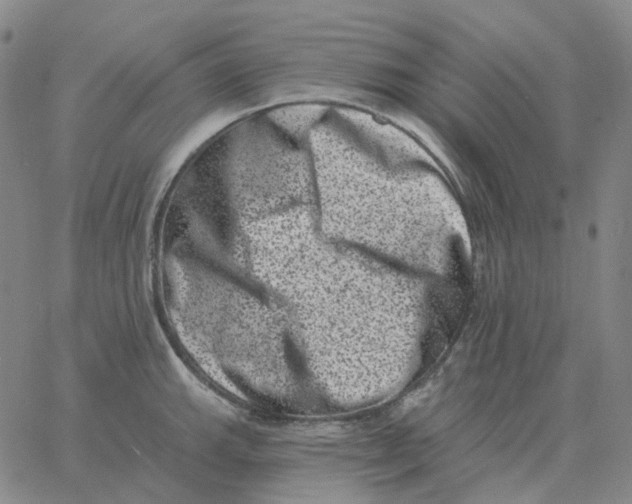 X0000060791143200512082117