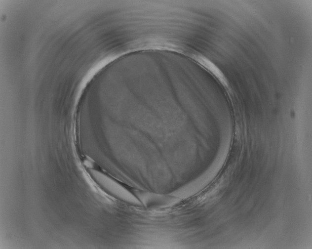 X0000060791144200512082117