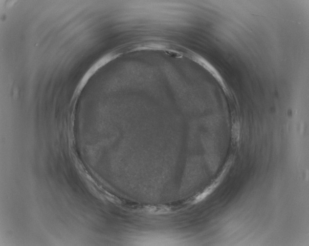 X0000060791146200512082117