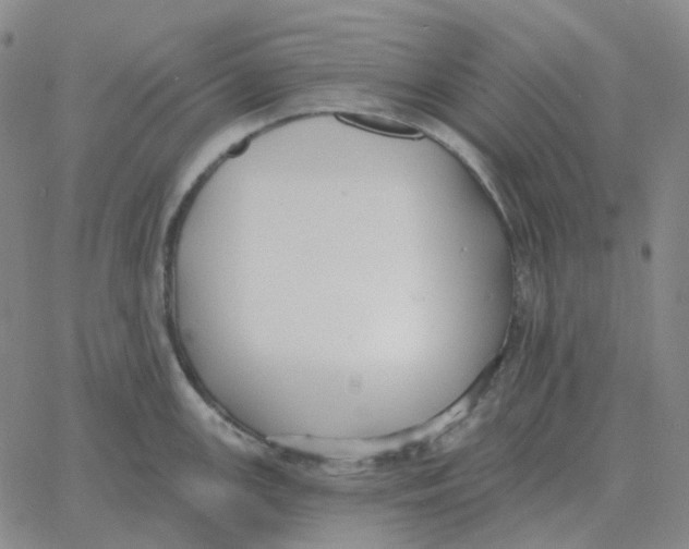 X0000060791147200512082117