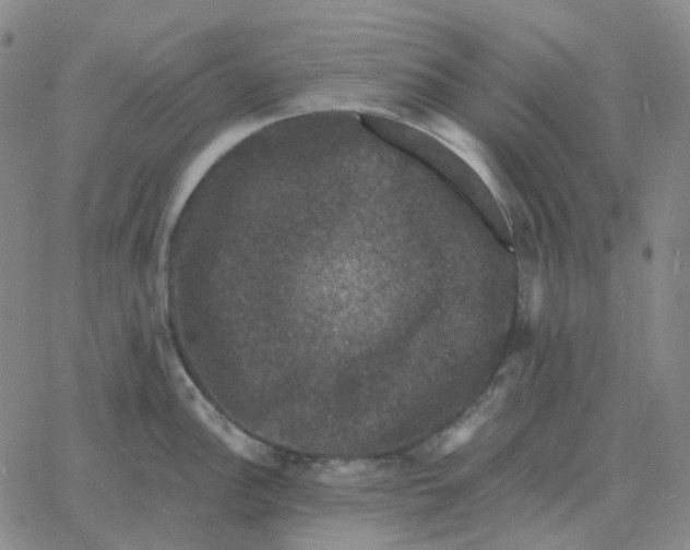 X0000060791148200512082117