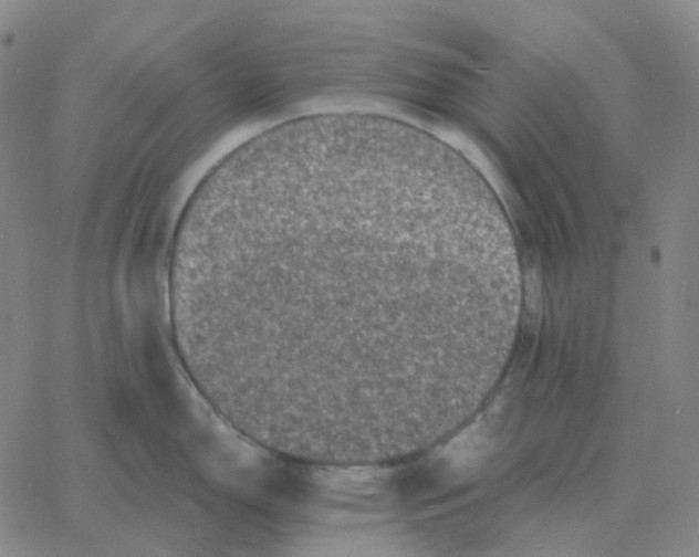 X0000060791150200512082118