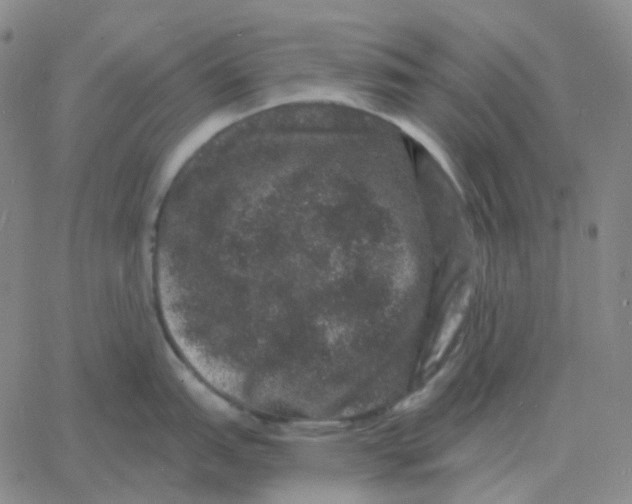 X0000060791151200512082118