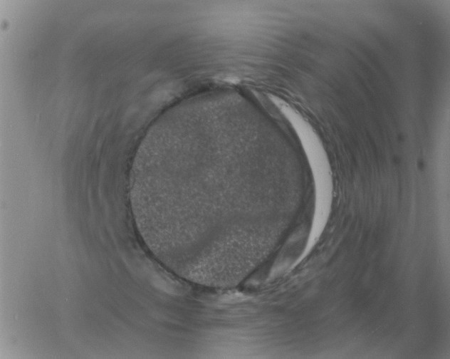 X0000060791153200512082117