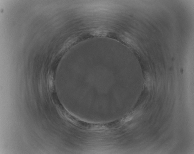 X0000060791154200512082117