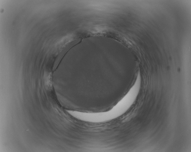 X0000060791156200512082117