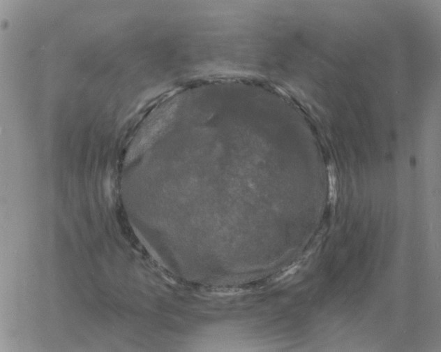 X0000060791157200512082117