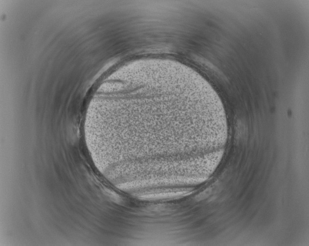 X0000060791162200512082117