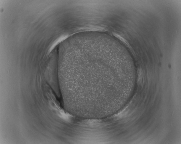 X0000060791163200512082117