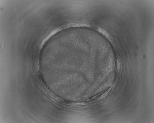 X0000060791165200512082117