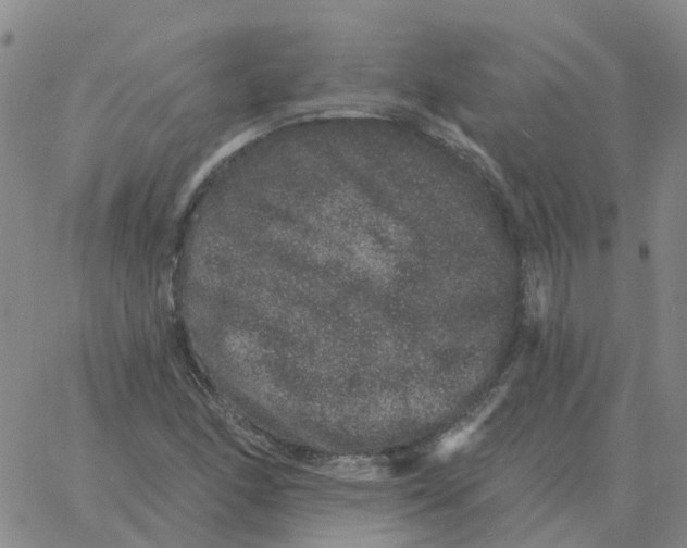 X0000060791166200512082117