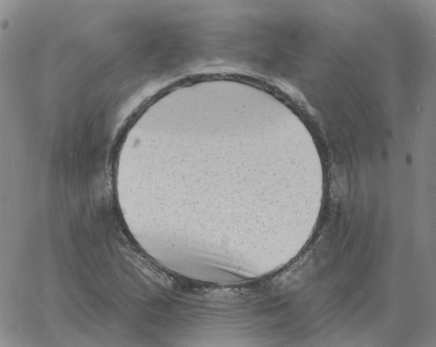 X0000060791167200512082117