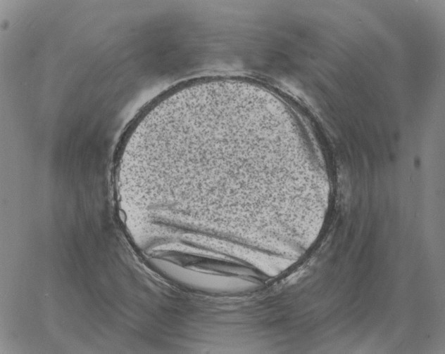 X0000060791168200512082117