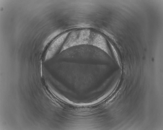 X0000060791171200512082116