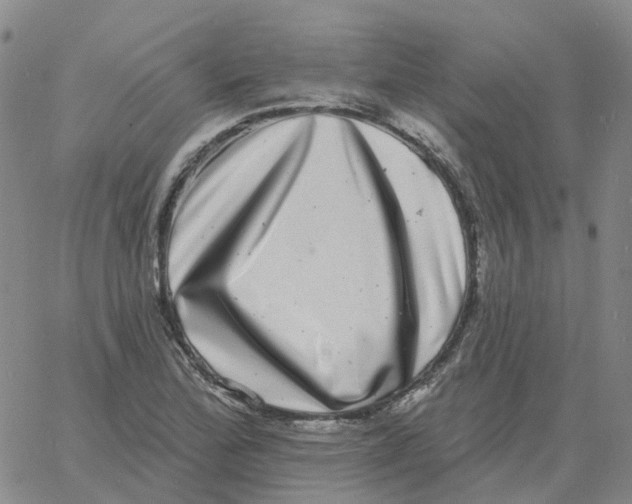 X0000060791172200512082116