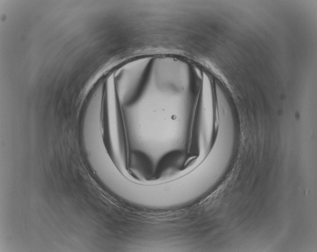 X0000060791173200512082116