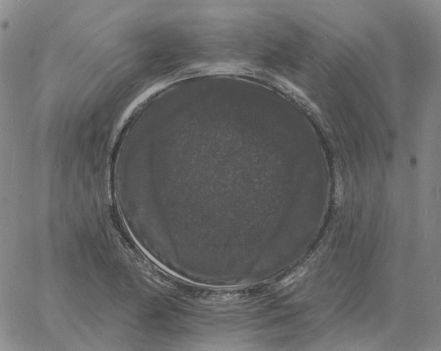 X0000060791174200512082116