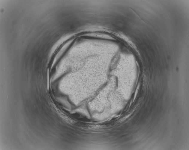 X0000060791175200512082116