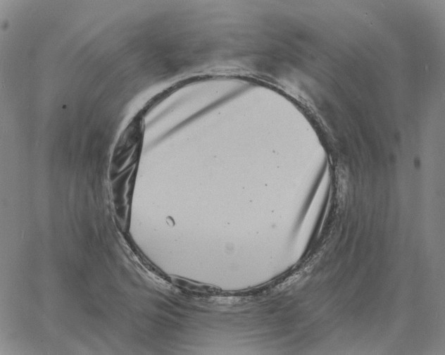 X0000060791176200512082116