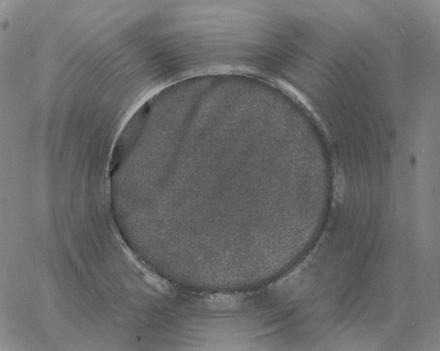 X0000060791178200512082116