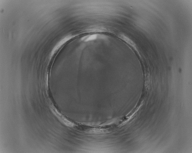 X0000060791179200512082116