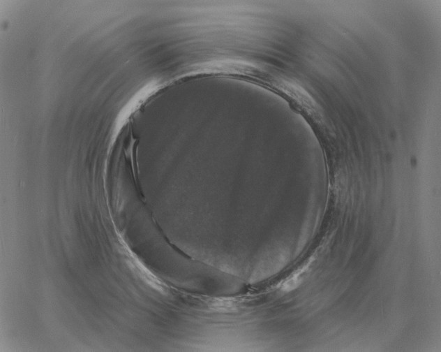 X0000060791180200512082116