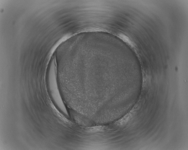 X0000060791181200512082116