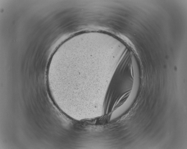 X0000060791183200512082116