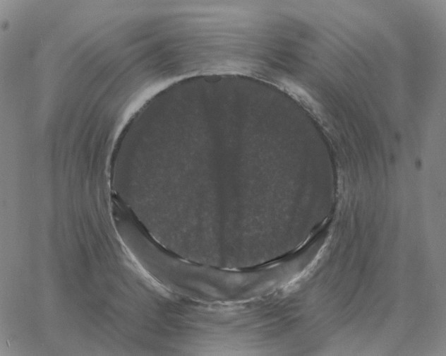 X0000060791184200512082116