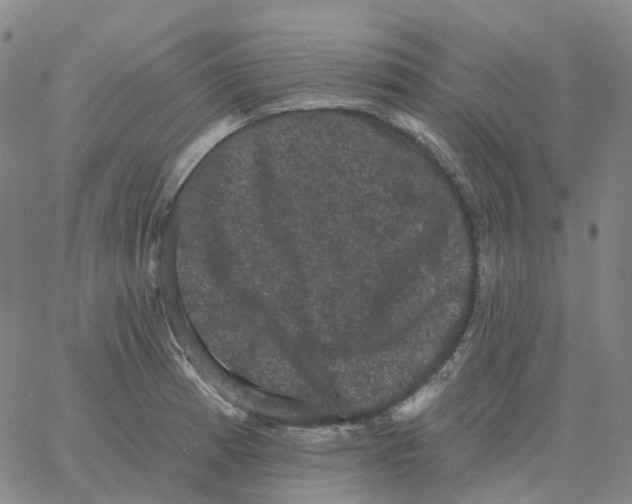 X0000060791185200512082116