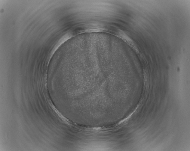 X0000060791186200512082116