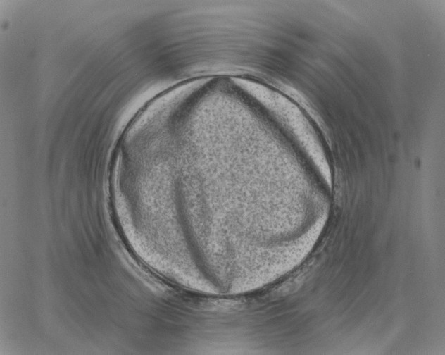 X0000060791187200512082116