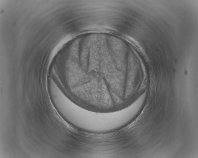 X0000060791188200512082116