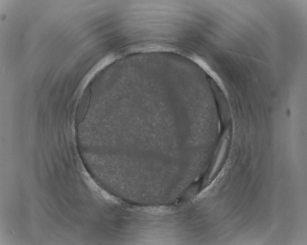 X0000060791189200512082116