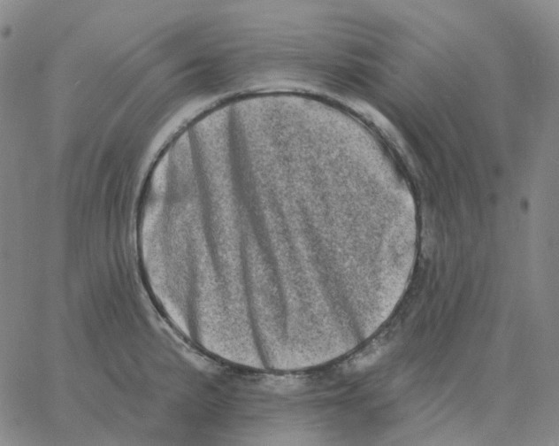 X0000060791191200512082116